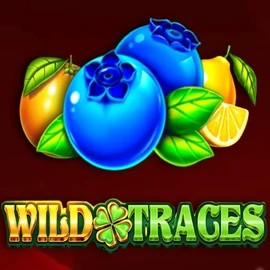 Wild Traces – slot by Amusnet Interactive, featured at yoyospin.eu